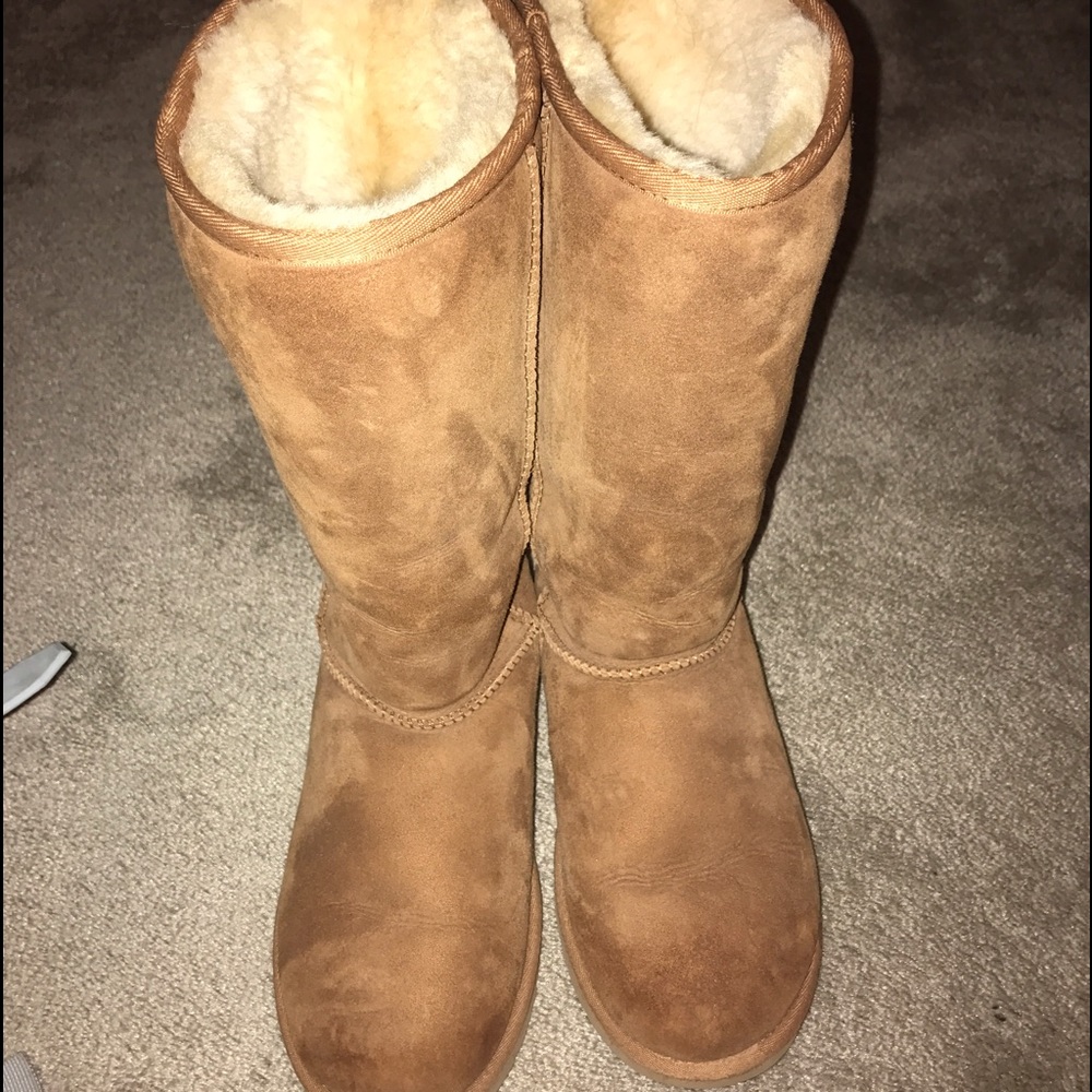 Tall Chesnut Uggs