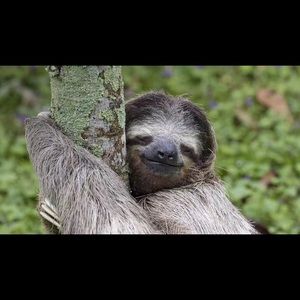 Meet your Posher, Essie