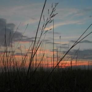 Meet your Posher, Amanda rogers