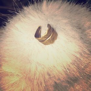 Feather ear cuff