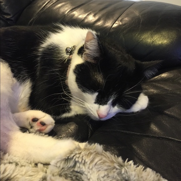 Meet your Posher, Cyd - Picture 1 of 1