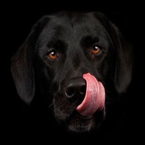 Meet your Posher, Anne