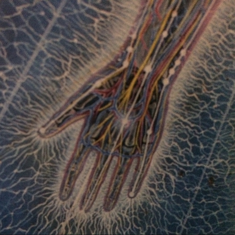 Meet your Posher, Paully