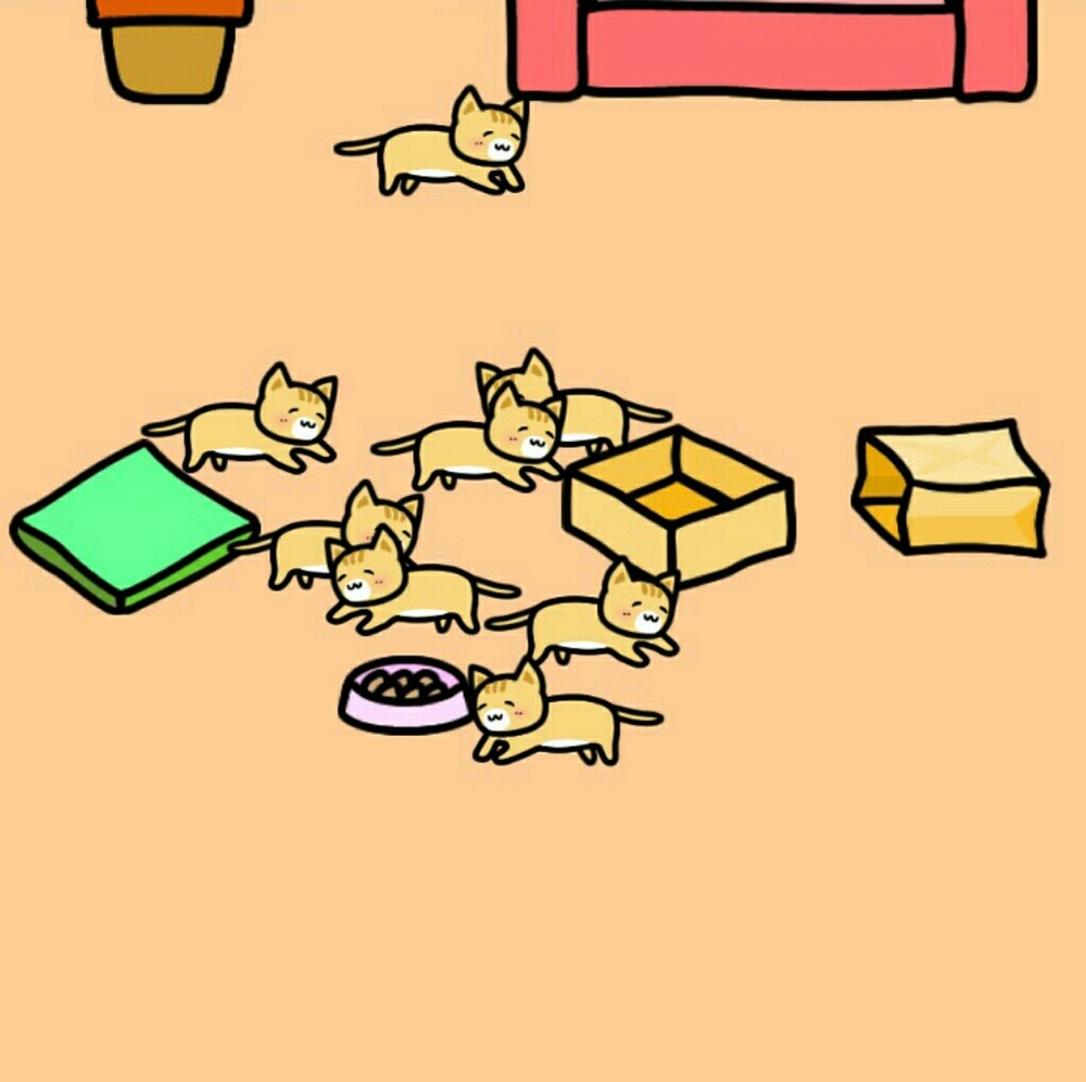 Meet your Posher, Letitia