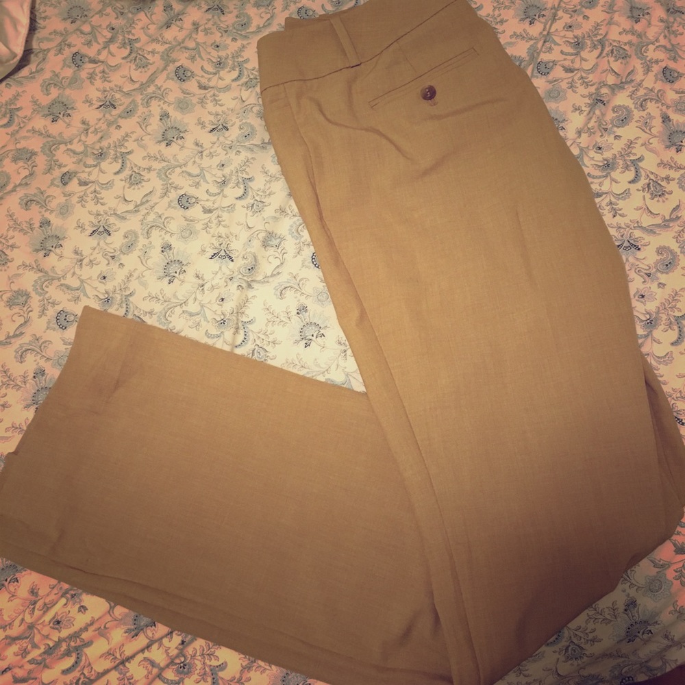 Dress Pants