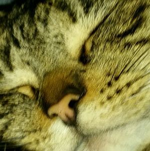 Meet your Posher, Nancy