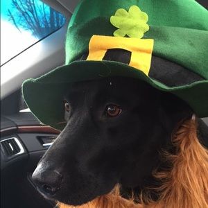 Meet your Posher, Sherry