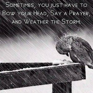 Meet your Posher, Agnes