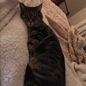 Meet your Posher, Alexis