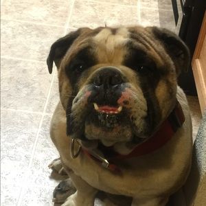 Meet your Posher, Jose