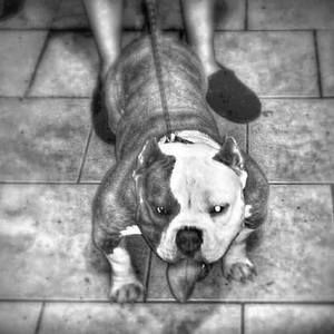 Meet your Posher, Roberto