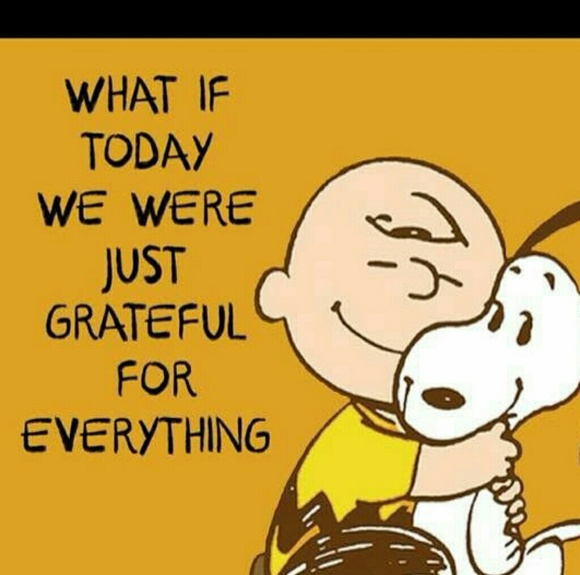 Meet your Posher, Mandy - Picture 2 of 16