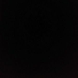 Meet your Posher, Bryce