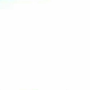 Meet your Posher, Alyvia