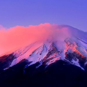 Meet your Posher, Jade