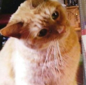 Meet your Posher, Sheila