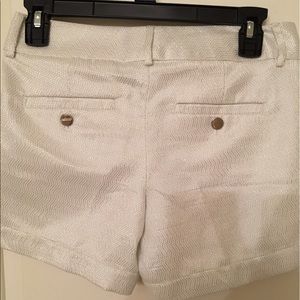 Size 0 Dressy CK Shorts