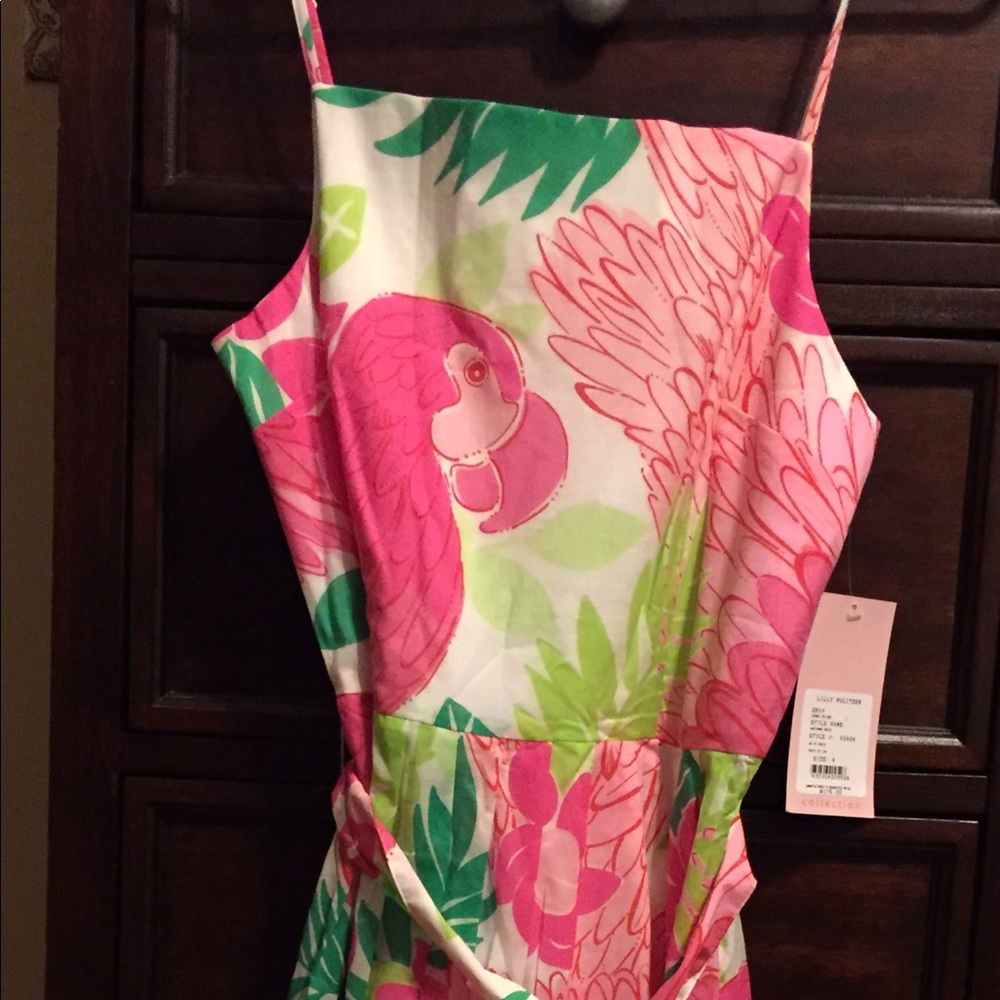 Lily Pulitzer dress