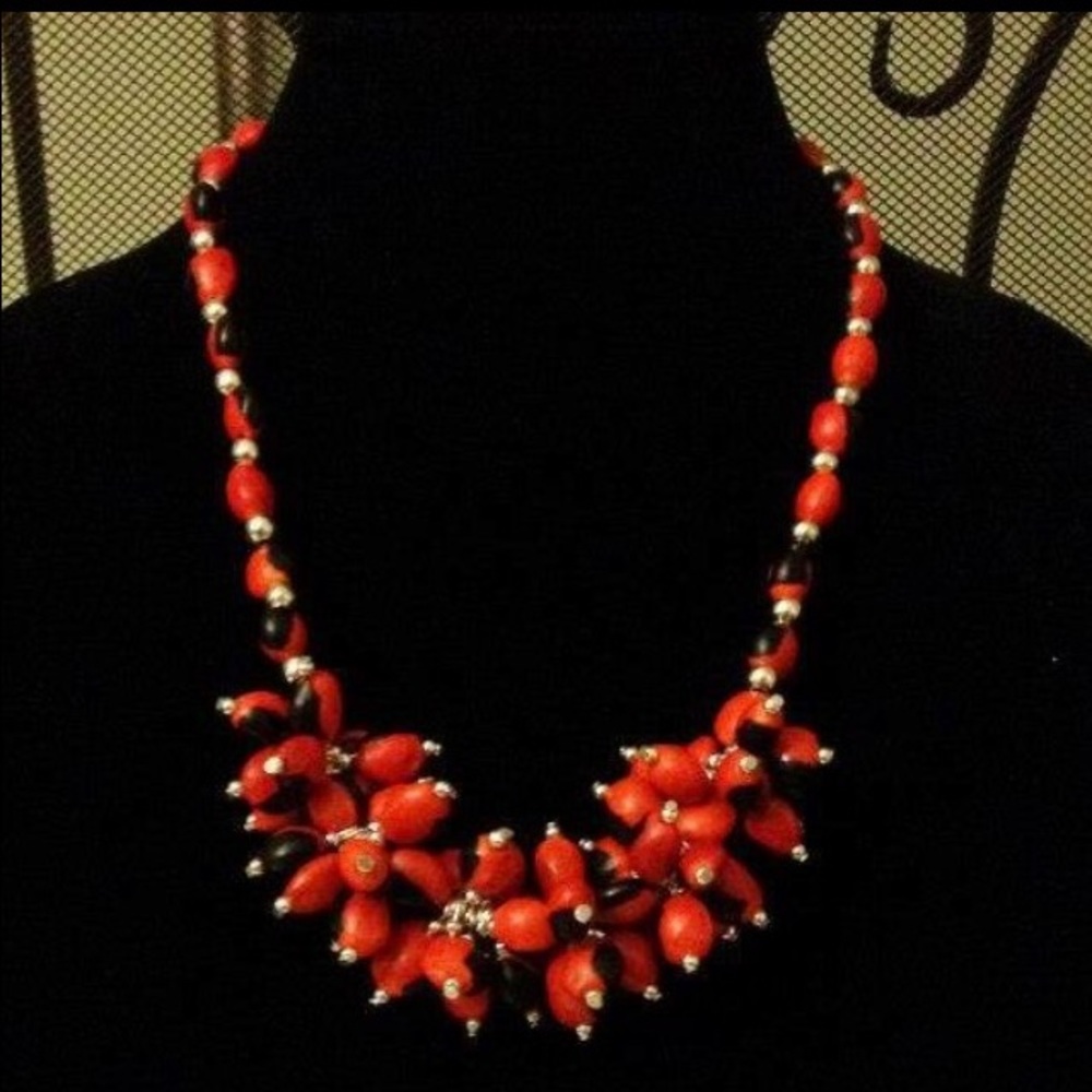 Meet your Posher, Carmen