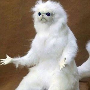 Meet your Posher, Jeffery