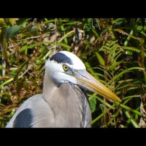 Meet your Posher, Sandra