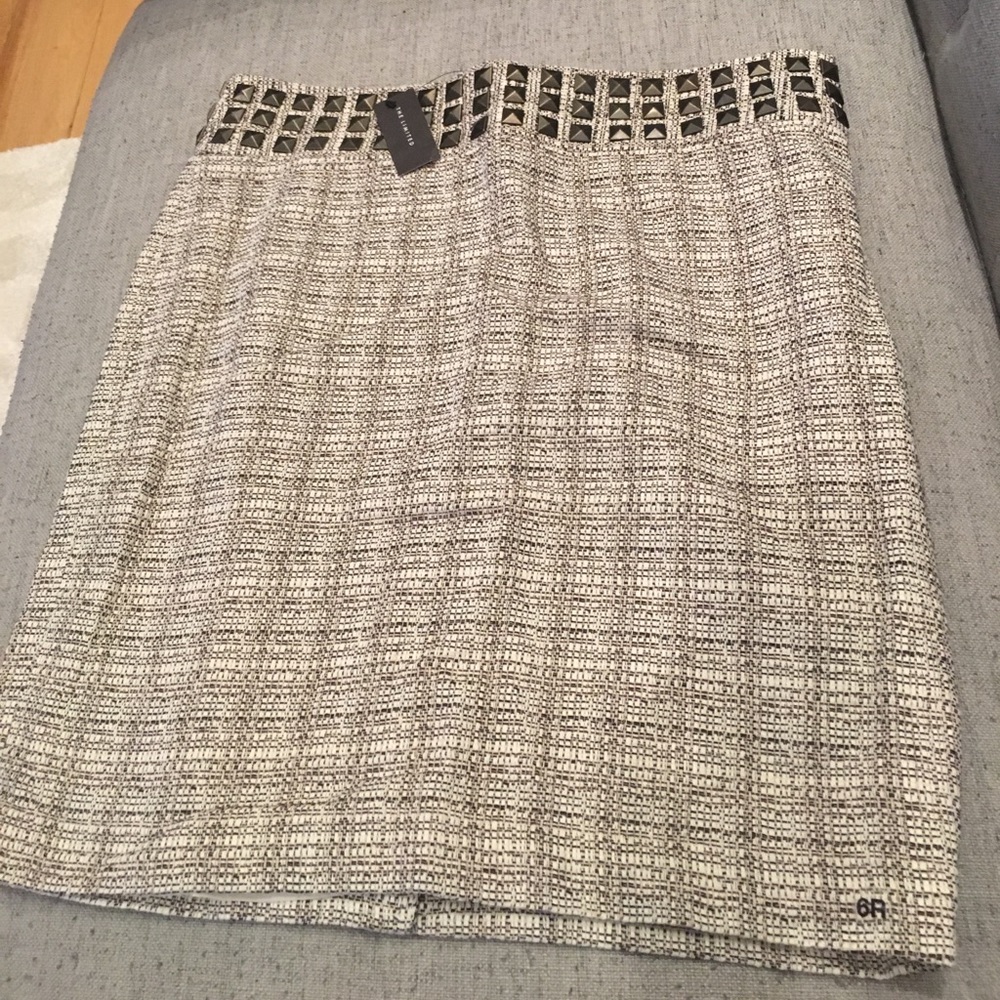 The Limited Studded Skirt