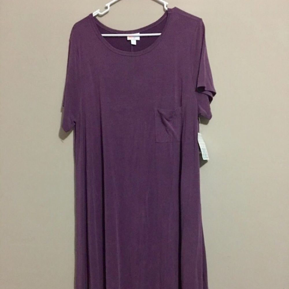 New with tags LulaRoe Carly Dress