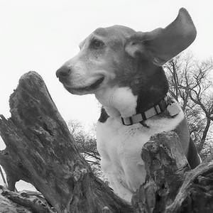 Meet your Posher, Ellen