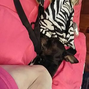 Meet your Posher, Allison