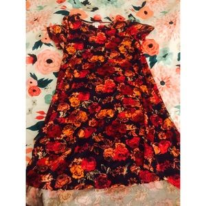 LulaRoe Carly UNICORN 🦄