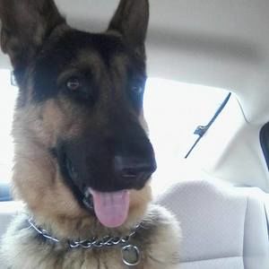 Meet your Posher, Esther