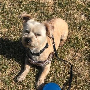 Meet your Posher, Amber