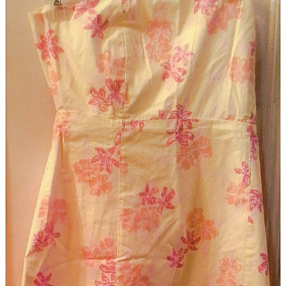 Lilly Pulitzer Franco Dress