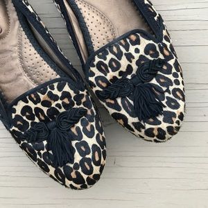 Leopard smoking flats