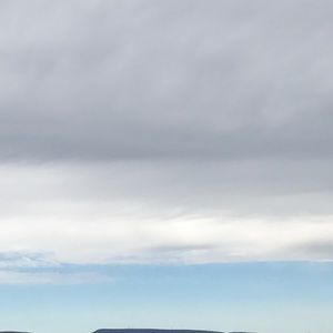 Meet your Posher, Jellie