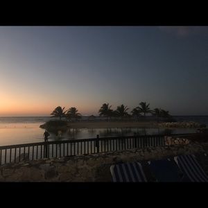 Meet your Posher, Peyton