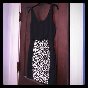 Express Black and Zebra Dress