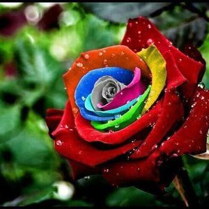 Meet your Posher, Anjali