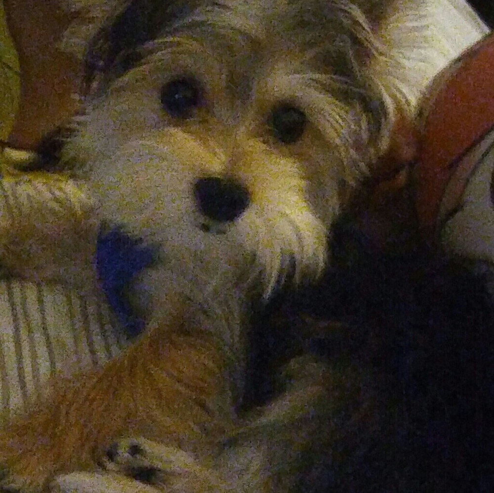 Meet your Posher, Jessica