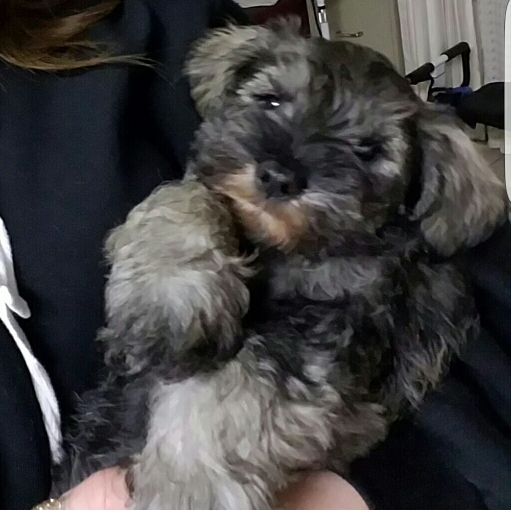 Meet your Posher, Cecilia