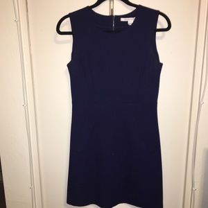 Diane Von Furstenburg Capreena back zip dress