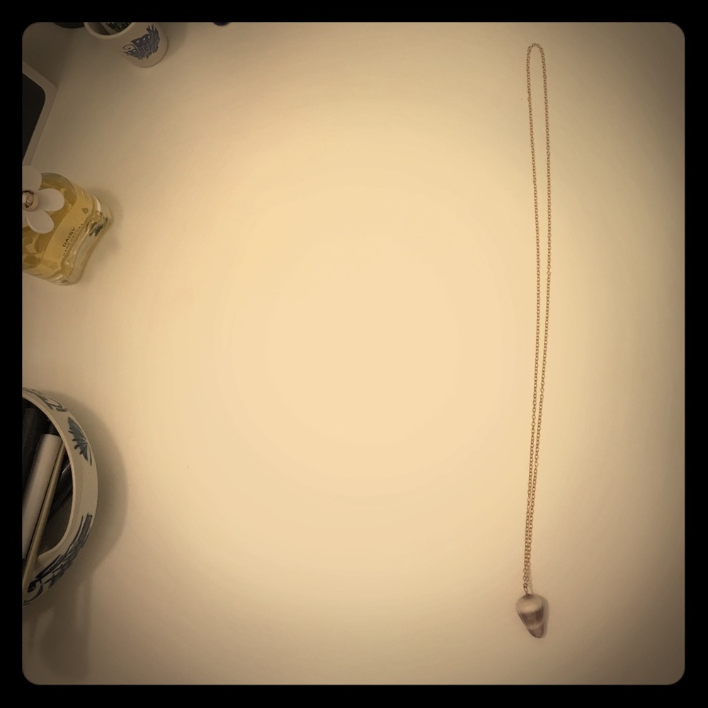 Gold Chain Long Necklace W/Shell