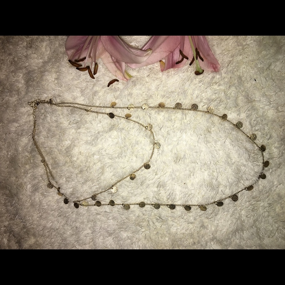 Long Golden Layered Necklace