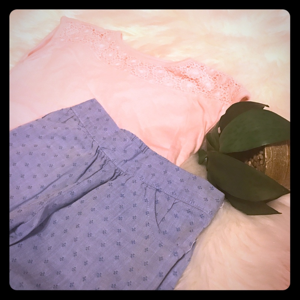 Crazy 8 Toddler Girl Outfit