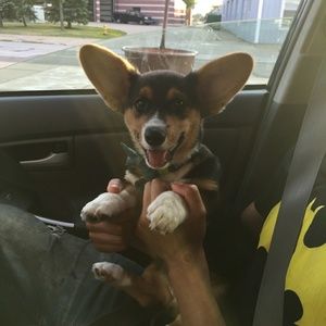 Meet your Posher, Elizabeth