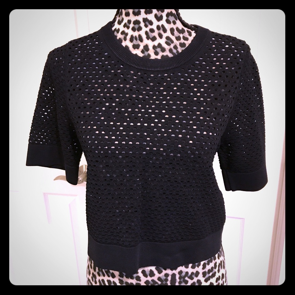 Black ALC crop sweater