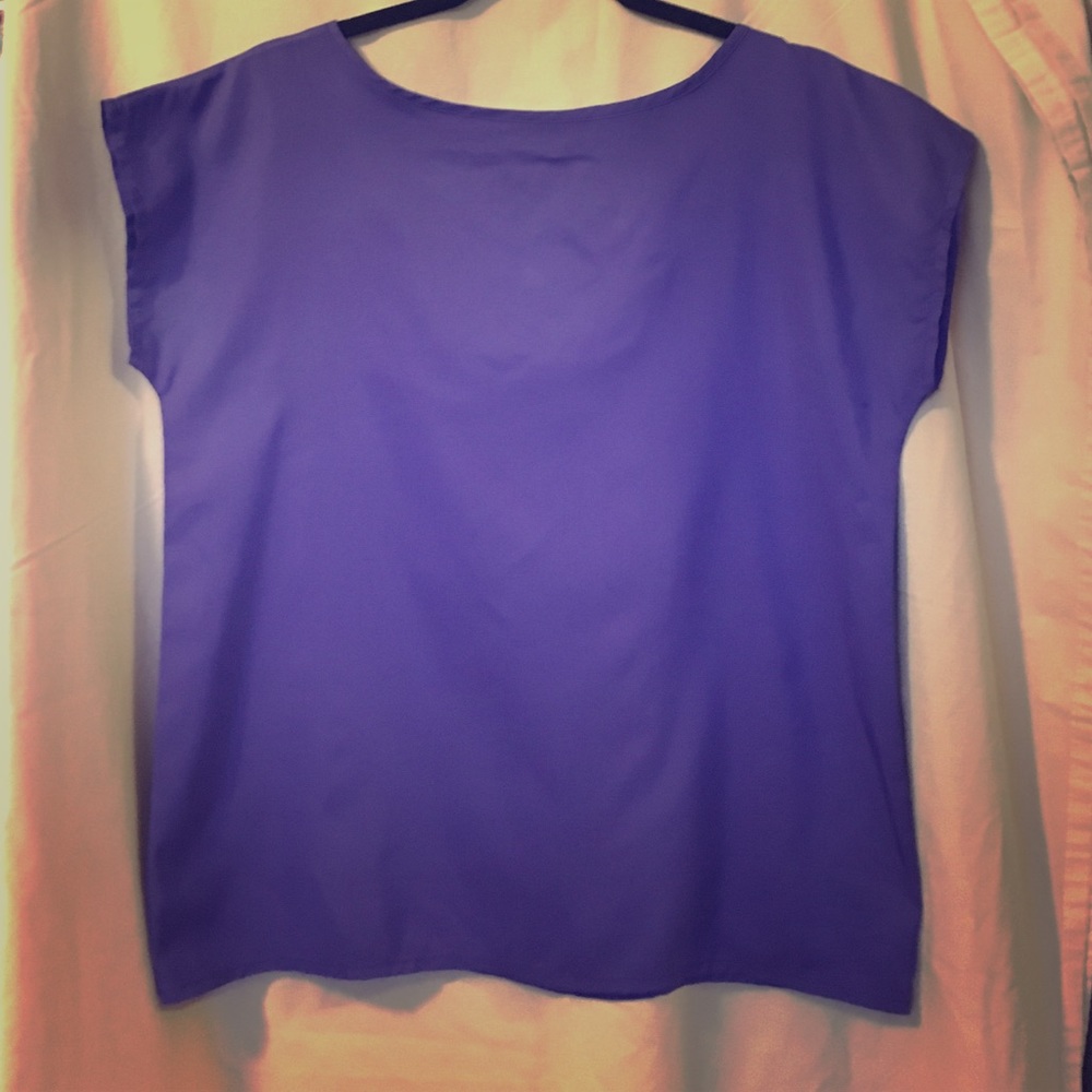 Airy Purple Short-Sleeve Blouse (Ashley Hall)