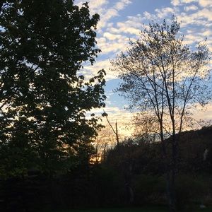 Meet your Posher, Dani