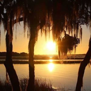 Meet your Posher, Pam