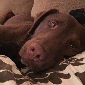 Meet your Posher, Brooke